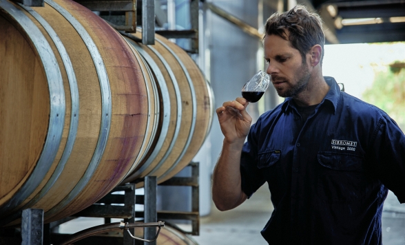 シロメィワイナリー・プレミアム日本語ツアー